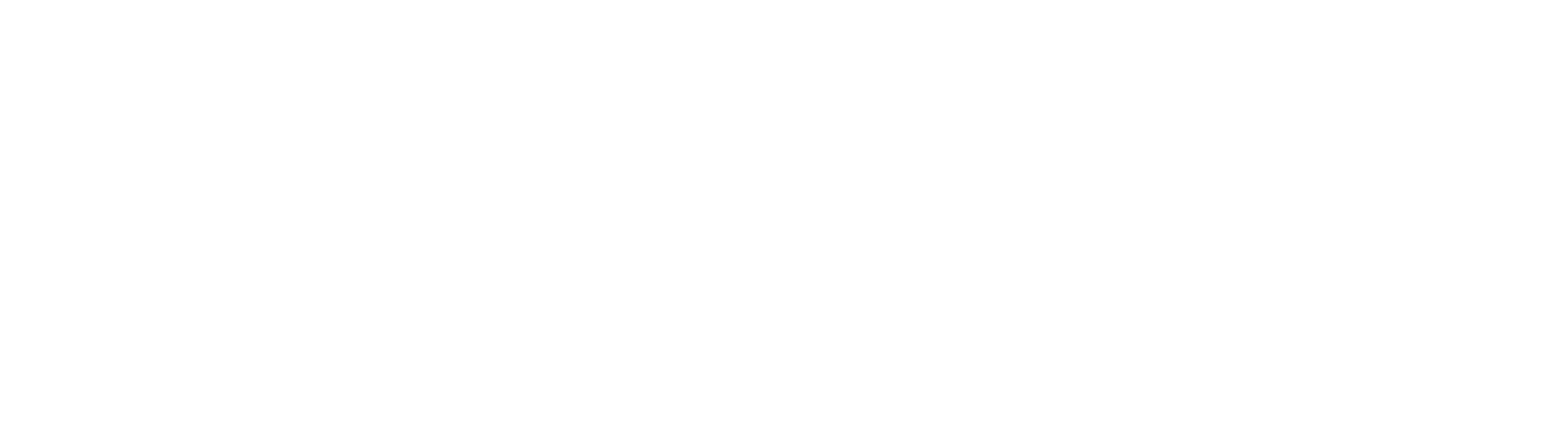 Logo White