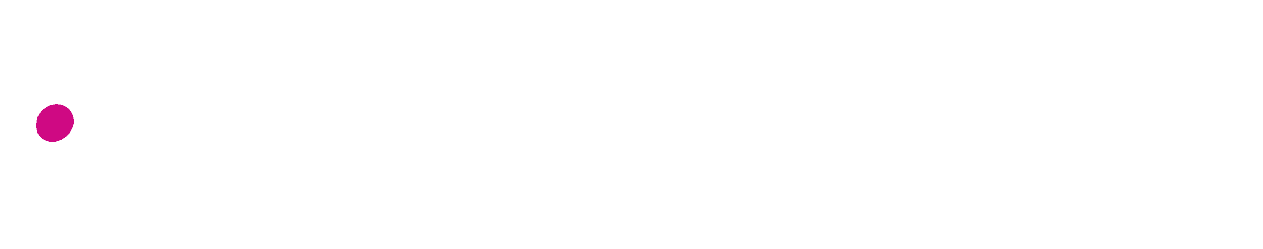 Playmaker Logo White