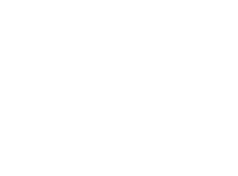 The Owl - Converting Digital